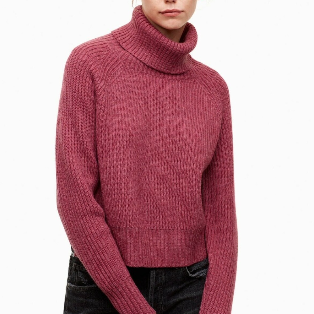 Aritzia Wilfred Free Tilberg Sweater Turtleneck Slit